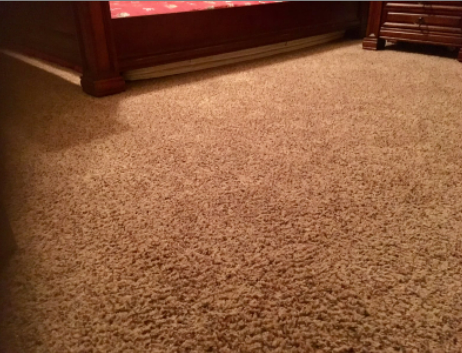 Carpet Cleaning Young County TX